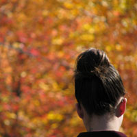 Leaves